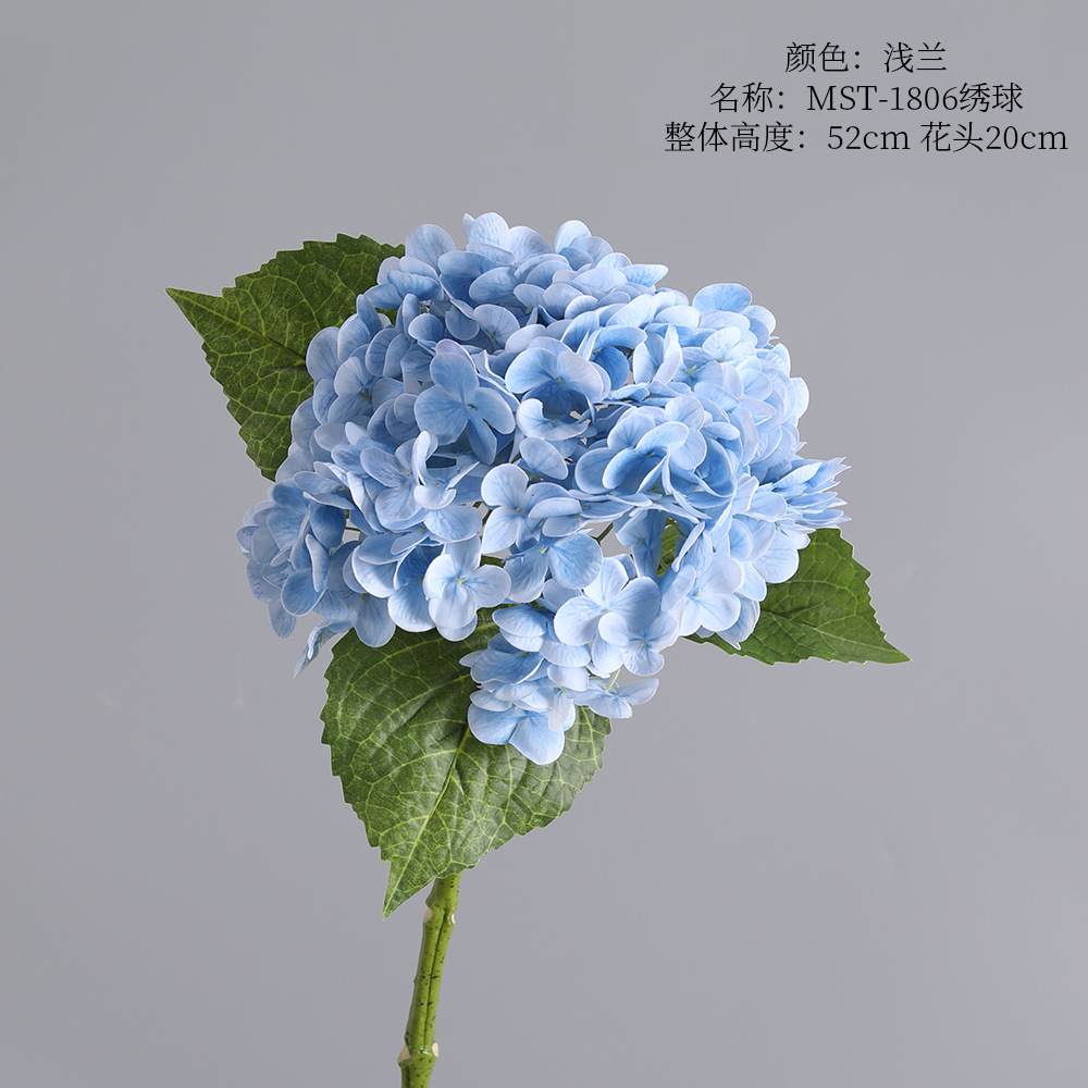 Mst-1806 hortensia-asaelan