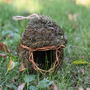 Nid d'oiseau en aiguilles de pin, tissé à la main, écologique, décoration de jardin pour oiseaux, 17x15cm, forme arrondie - Product Image 2