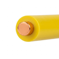 Câble électrique monoconducteur en cuivre étamé isolé PVC BV pour la construction, les systèmes solaires et le câblage industriel