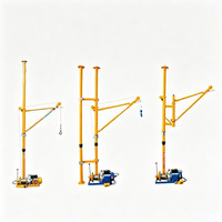 Mini grue électrique d'intérieur 300 kg, petite grue de décoration pliable pour la maison, 220 V, grue électrique portable d'intérieur