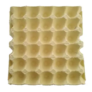 Customized Environment-Friendly Egg Tray Carton with Cover Pulp Moulding 12 20 Eggs Carton/Tray/Box