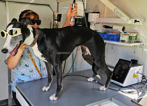 เลเซอร์ไดโอดบำบัดทางร่างกาย30W 60W 980 NM คลาส IV อุปกรณ์ทางการแพทย์ด้วยเลเซอร์พลังงานสูง - Product Image 6