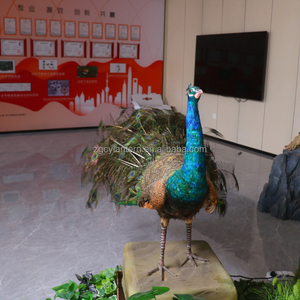 Fabrieksgemaakte op ware grootte animatronische pauw met verenbeweging voor dierentuinen, museum, avonturenpark, kinderdagverblijf, winkelcentrum en luchthaven - Product Image 5