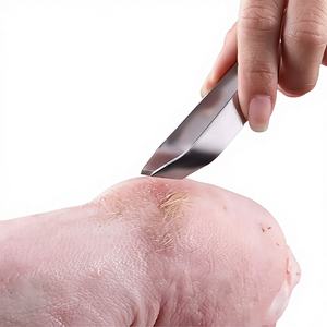 Écailleur à poisson en acier inoxydable durable, compatible lave-vaisselle/micro-ondes/four, avec pinces à prise composite, outil polyvalent - Product Image 1