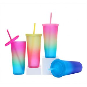 Custom logo 24oz Gradient Colored Acrylic Mug <b>Plastic</b> Matte Pink Coffee <b>Cup</b> Reusable Double Wall Skinny <b>Plastic</b> Tumbler with Lid - Product Image 1