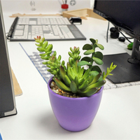 Plante succulente artificielle en plastique haute simulation, écologique, pour la maison, le jardin, en pot, pour l'intérieur, le bureau, la table