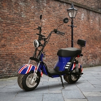 Scooter électrique Citycoco 1000W 1500W 3000W 60V en alliage d'aluminium, étanche, pour adultes, longue autonomie, pour les trajets en ville