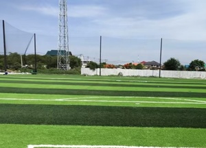 Lĩnh vực thể thao Nylon Net hàng rào lồng bóng chày backstop tùy chỉnh nylon lưới - Product Image 4