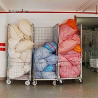 Conteneur à roulettes antivol en treillis métallique galvanisé robuste et facilement déplaçable pour entrepôt