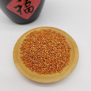 Hete Verkopende Kleefgraan Gierst In Schil Van Hoge Kwaliteit Met Goedkope Groothandelsprijs - Product Image 6