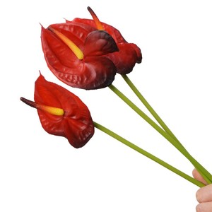 Anthurium Berkualitas Tinggi Tangkai Tunggal Tekstur Lembut Seperti Gel Bunga Api Anthurium untuk Dekorasi Rumah, Pernikahan, Liburan, Rangkaian Bunga, Fotografi