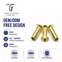 Rivets semi-tubulaires à tête plate en acier inoxydable sur mesure pour accessoires d'établi, prototypes d'ingénierie, approvisionnement en vrac, TianFang
