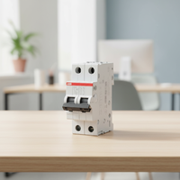 Interruptor Automático Miniatura Serie S200 de ABB, Genuino de Alta Gama, Tipo C, 6kA, Interruptor de Aire de Plástico 2P, Corriente 0.5~100A, Retardante de Llama