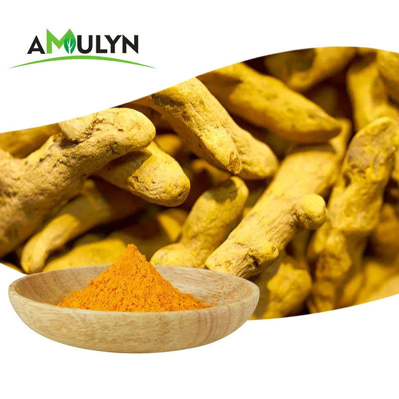 AMULYN Supply Natural Turmeric Curcumin 95% Extract Powder