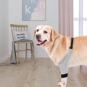 Dog Leg Injury Protector Grey Basic Protection Front Leg Sleeve For Pet Joint Warmth - Product Image 1