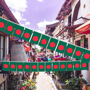 Produttore all'ingrosso bandiera Bangladesh Bunting formato personalizzato e modello con la stampa digitale per le decorazioni - Product Image 4