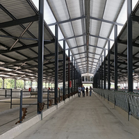 Construcción de Acero Prefabricada con Certificación ISO, Establos para Ovejas y Cabras, Estructura de Acero para Granjas