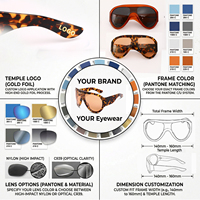 Lbashades S1601 Lunettes de soleil personnalisées de haute qualité pour fabricants, avec logo, monture en acétate tendance, unisexe, populaires, grande taille