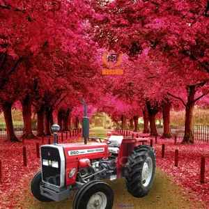 MASSEY FERGUSON TRCATOR MF 260