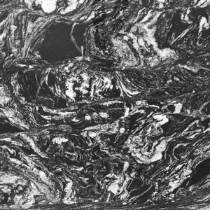 Azulejos de diseño moderno para cocina y Villa al aire libre-Losas de granito de Bosque Negro Superficie pulida de piedra natural para aplicación al aire libre - Product Image 1