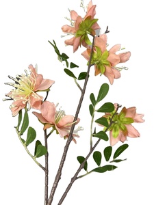 Rama de flor artificial extravagante de cinco cabezas con tallo largo rojo azul blanco rosa Delonix Regia Flame <span class=keywords><strong>Tree</strong></span> para decoración de Navidad - Product Image 3