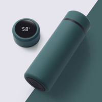 Bouteille d'eau intelligente isolée en acier inoxydable de haute technologie de 500ml avec température led