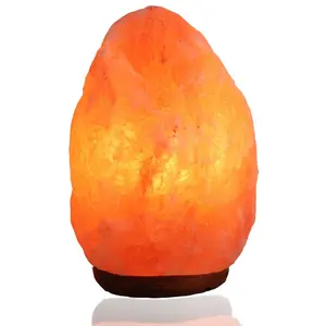 Organic Material Natural Home Hotel Decoration Handicraft Dimmer switch Salt Lamp with Wooden Base Salt night light