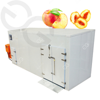 Elektrische hetelucht droogoven voor het drogen van fruit en groenten