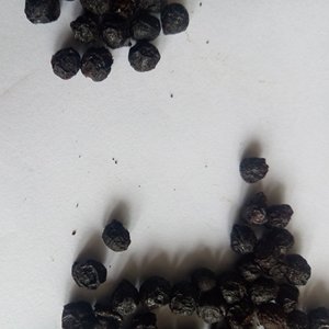 <span class=keywords><strong>Bi</strong></span> cheng qie fruits secs fruité Litseae Cubebae épices fruits noirs sauvages fruité Litseae - Product Image 5