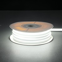 Bande LED néon flexible personnalisable 6x12mm 24V 20m à courant constant, sans chute de tension, étanche IP67, en silicone, certifiée CE ROHS