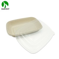Boîte alimentaire rectangulaire de 700 ml en bagasse de canne à sucre biodégradable avec couvercle en PP
