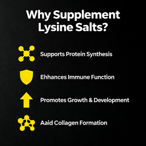 Oem/odm l-ליזין hcl אבקת הסיטונאי | 500g בצובר שריר & תוסף חומצות אמינו - Product Image 5