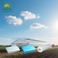 Film plastique PO 200 microns double couche haute isolation pour la culture hivernale des légumes