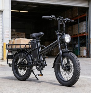 Vélo cargo électrique multifonctionnel personnalisé et expédié directement de l'usine, 48V 500W, pneus larges, <span class=keywords><strong>porte</strong></span>-bagages arrière, frein à disque - Product Image 1