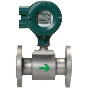 Medidor de Flujo Magnético Sanitario Yokogawa Axf025 Axf040, Electrodo PFA 316L, Tipo Higiénico para Alimentos, Bebidas, Lácteos y Farmacéutica - Product Image 5