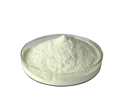 Harga grosir CAS 9012-73-4 Food Grade Chitosan DAC 95% bubuk Chitosan alami