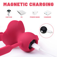 Balle vibrante en silicone rouge rose personnalisée, accessoires SM, jouet sexuel, produits pour adultes, pour le jeu intime, marque nationale