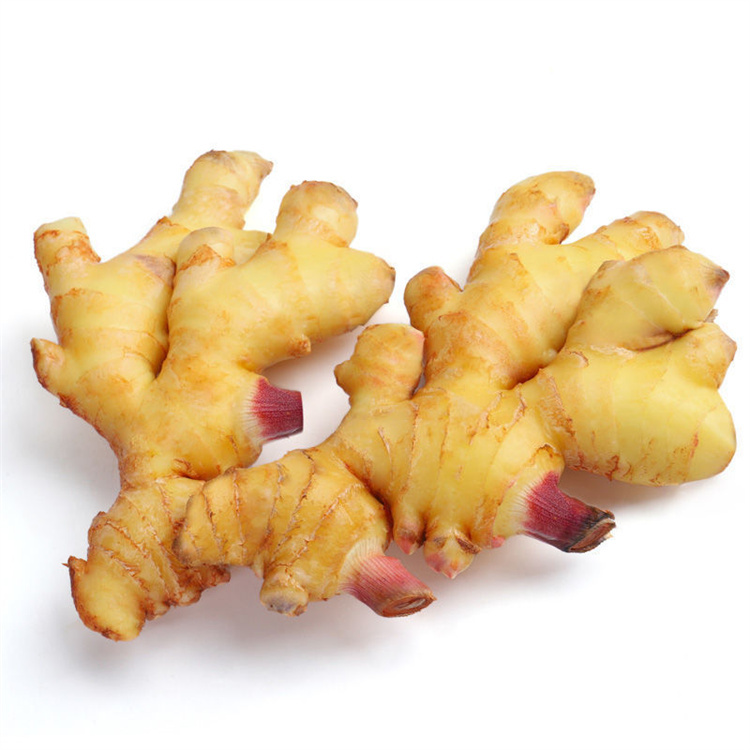 China Supplier Price Fresh Ginger Market