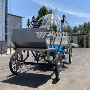Vehículo de transporte turístico de invierno para niños, estilo Frozen, con diseño de carruaje de calabaza transparente y ruedas huecas, para parques - Product Image 4
