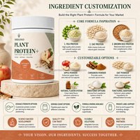 Poudre de Protéines Végétales Pois Avoine Riz Brun Cannelle Pomme Saveur Avoine Fournisseur d'Usine OEM ODM Marque Privée