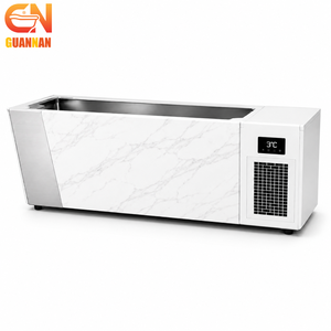 Baignoire de trempage froid pour sauna avec refroidisseur, en acier inoxydable, pour la thérapie par contraste et les projets de bien-être - Product Image 1
