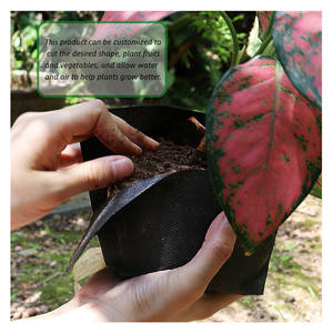 Tessuto NON tessuto di controllo delle erbacce pacciamatura tessuto paesaggio giardino - Product Image 2