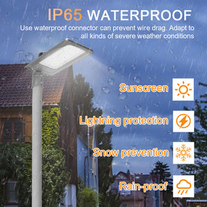 BBIER le plus populaire maison jardin LED réverbère nouveau jardin rural parc puissance 200W LED réverbère - Product Image 3