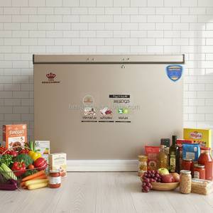 Congelador Horizontal Royal RR15 500FR de 269 Litros con Doble Puerta y Sistema Push-Pull, Color Dorado, para Almacenamiento Doméstico y Comercial, GMCC, Mercado Árabe - Product Image 6