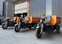 Dumper minier électrique certifié CE 1,5T avec châssis soudé renforcé |   Système hydraulique pour camion minier au Pérou Socavon