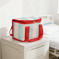 Sac isotherme pliable et réutilisable écologique en polyester 300D, sac de pique-nique portable pour femme, mode été, 7L, multi-usages