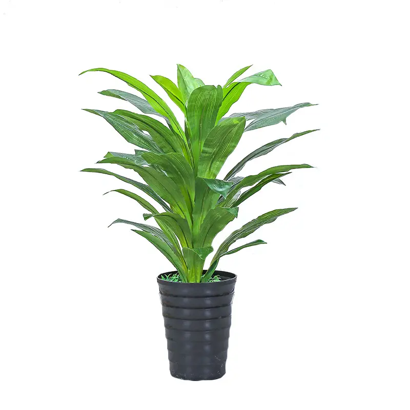 Commercio all'ingrosso di simulazione ristorante Hotel piante Decorative brasile albero di ferro atterraggio verde vaso di piante