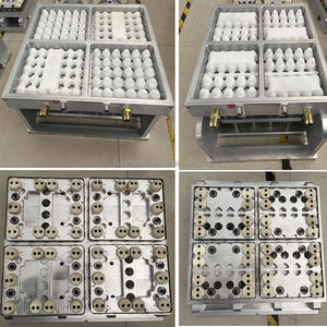 완전 자동 고생산성 메추리알 트레이 열성형 기계 (PP/PS/PET/HIPS/PVC 소재 사용) - Product Image 5