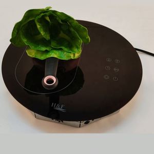 Cocina de Vitrocerámica Redonda 2025 con un Solo Quemador, Forma Ovalada, Placa de Inducción Infrarroja Especial - Product Image 6