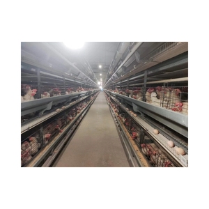 Chất Lượng Cao Thức Ăn Lớp Gia Cầm Premix Hữu Cơ Nguyên tố Vi Lượng Gà Thức Ăn Cho Gà Thịt Tuyệt Vời Nguồn Protein Cá Thực Phẩm Sử Dụng - Product Image 5